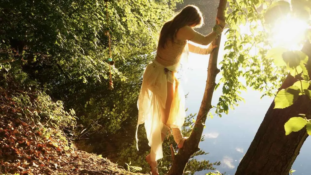 Lean into your light – Performance im Wald, Teil eins