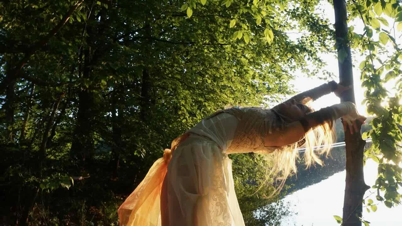 Lean into your light – Performance im Wald, Teil fünf