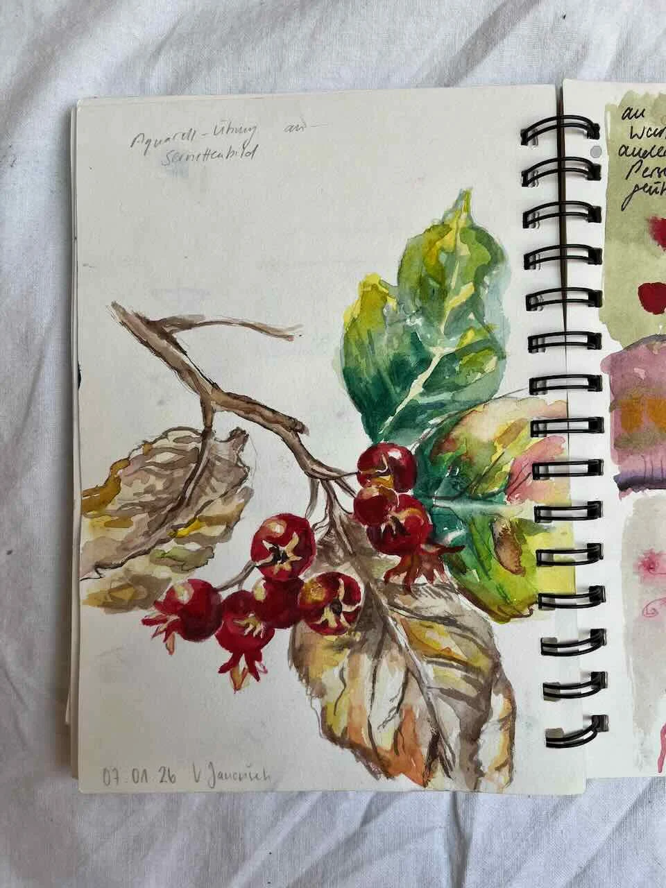 Skizzenbuchstudie mit roten Beeren